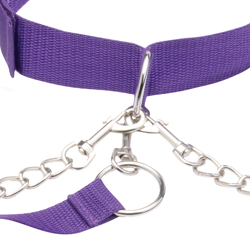 VIOLET COLLAR AND CUFF SET