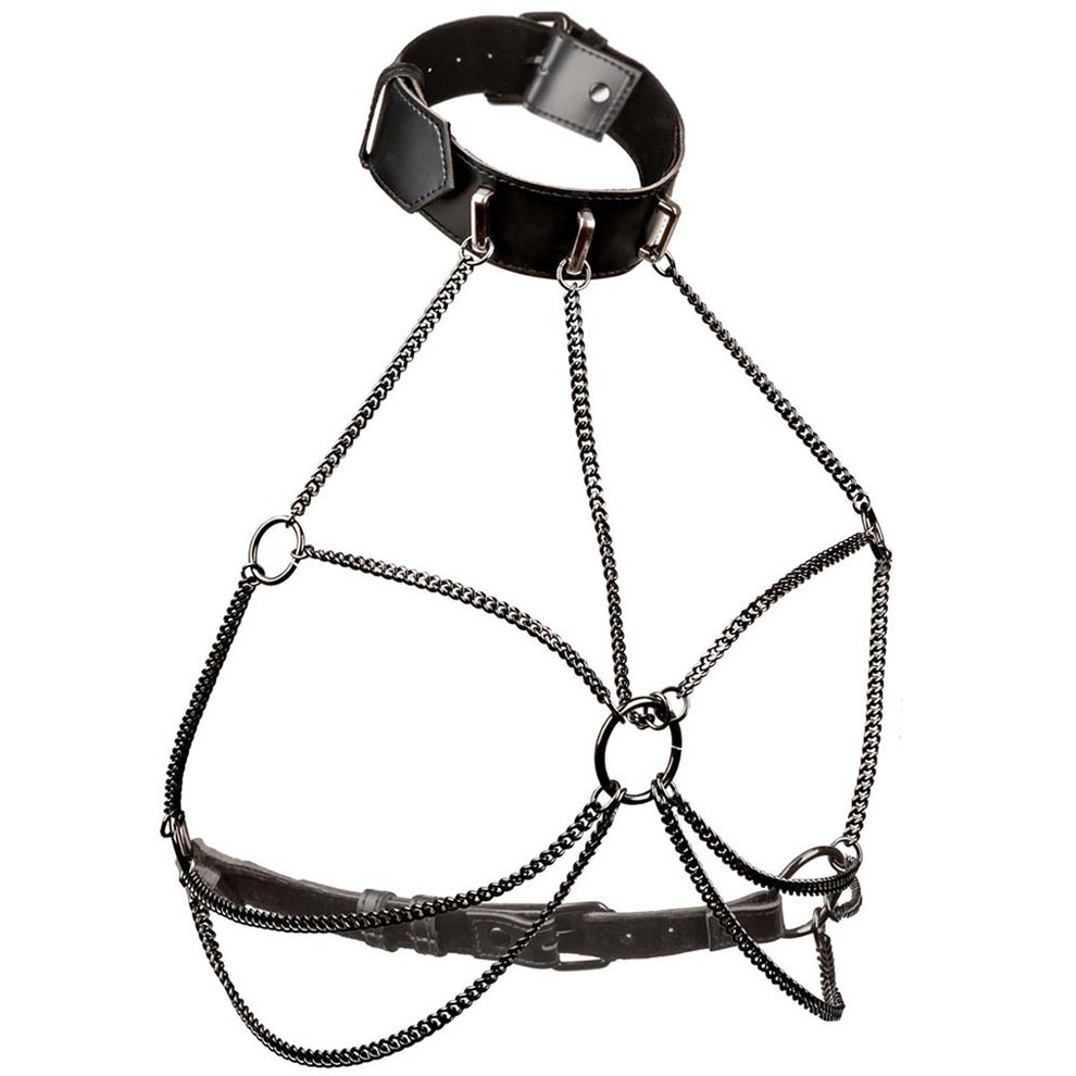 EUFORIA MULTI HARNESS