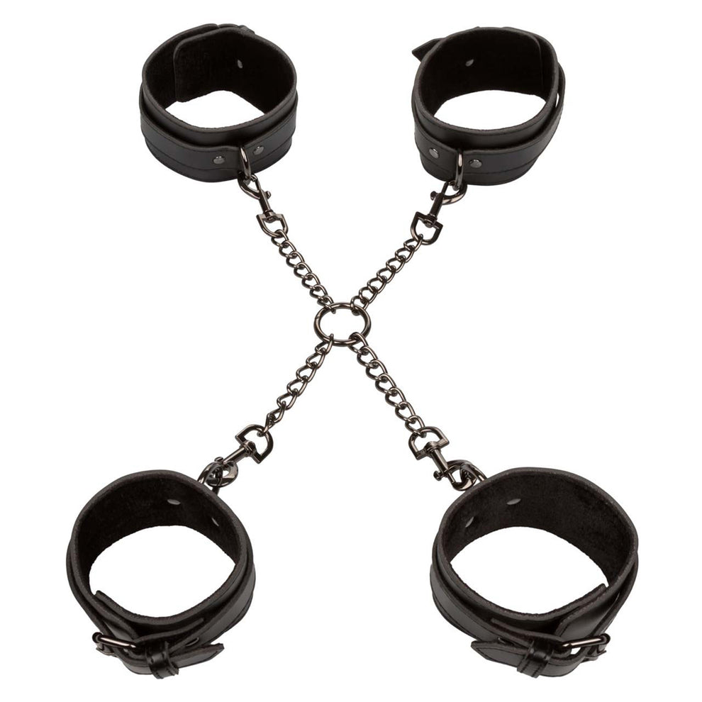 EUFORIA HOGTIE
