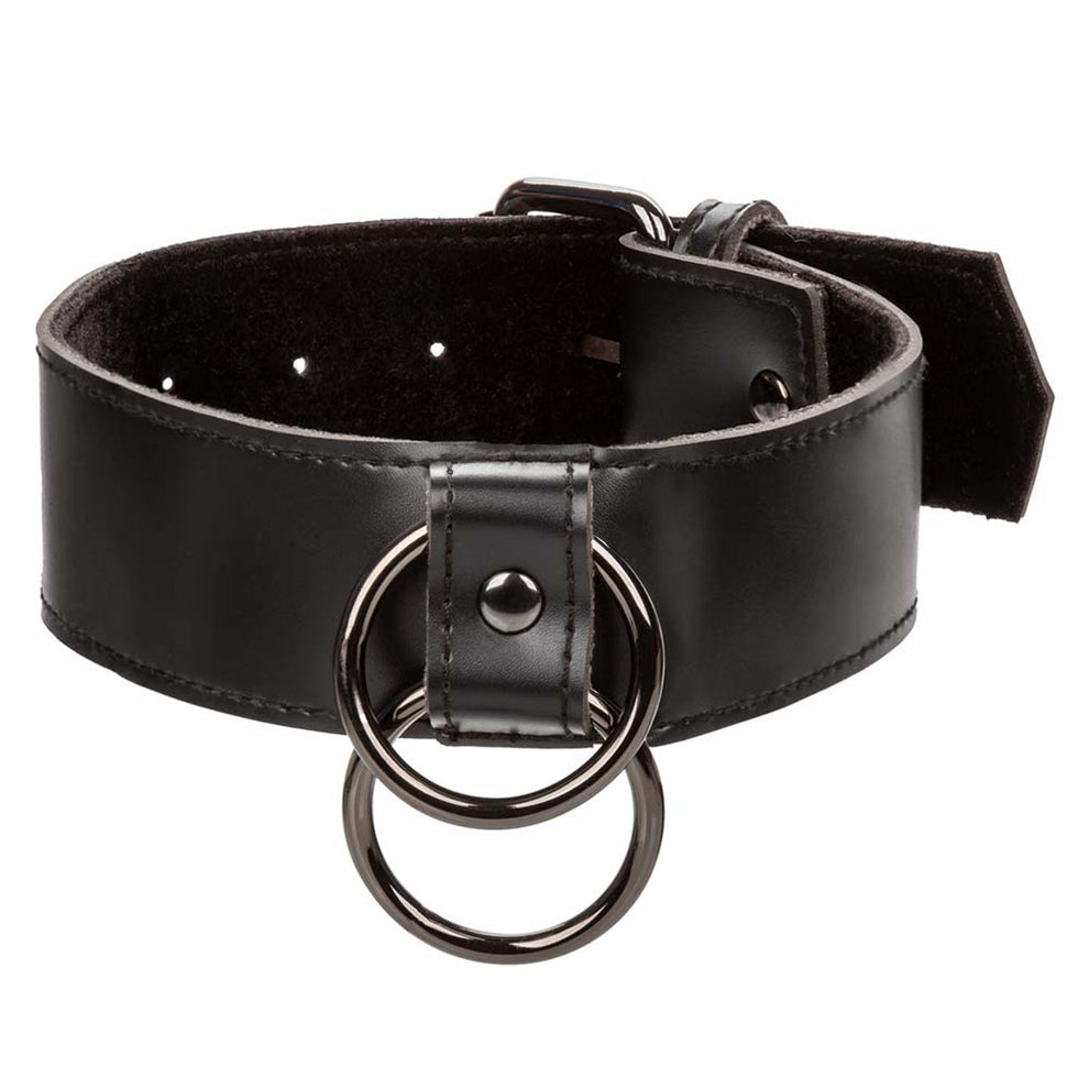 EUFORIA CHAIN LEASH COLLAR