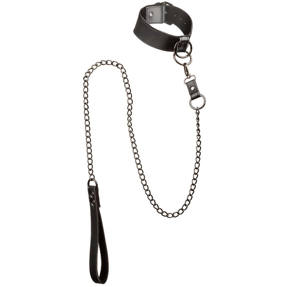 EUFORIA CHAIN LEASH COLLAR