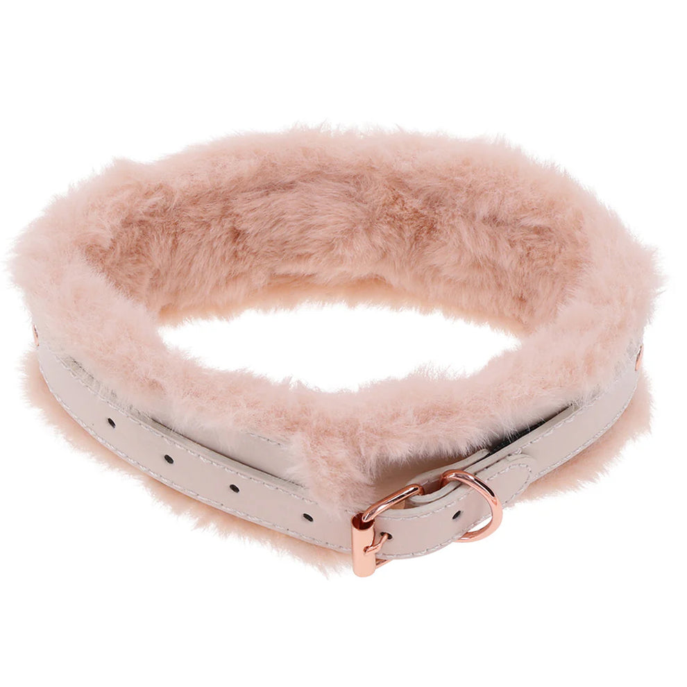 FUR COLLAR AND LEASH
